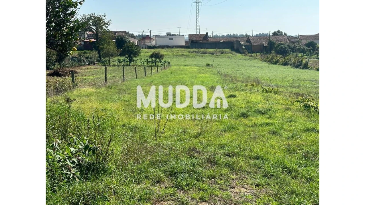 Terreno para Venda em Canelas e Fermelã Foto 3