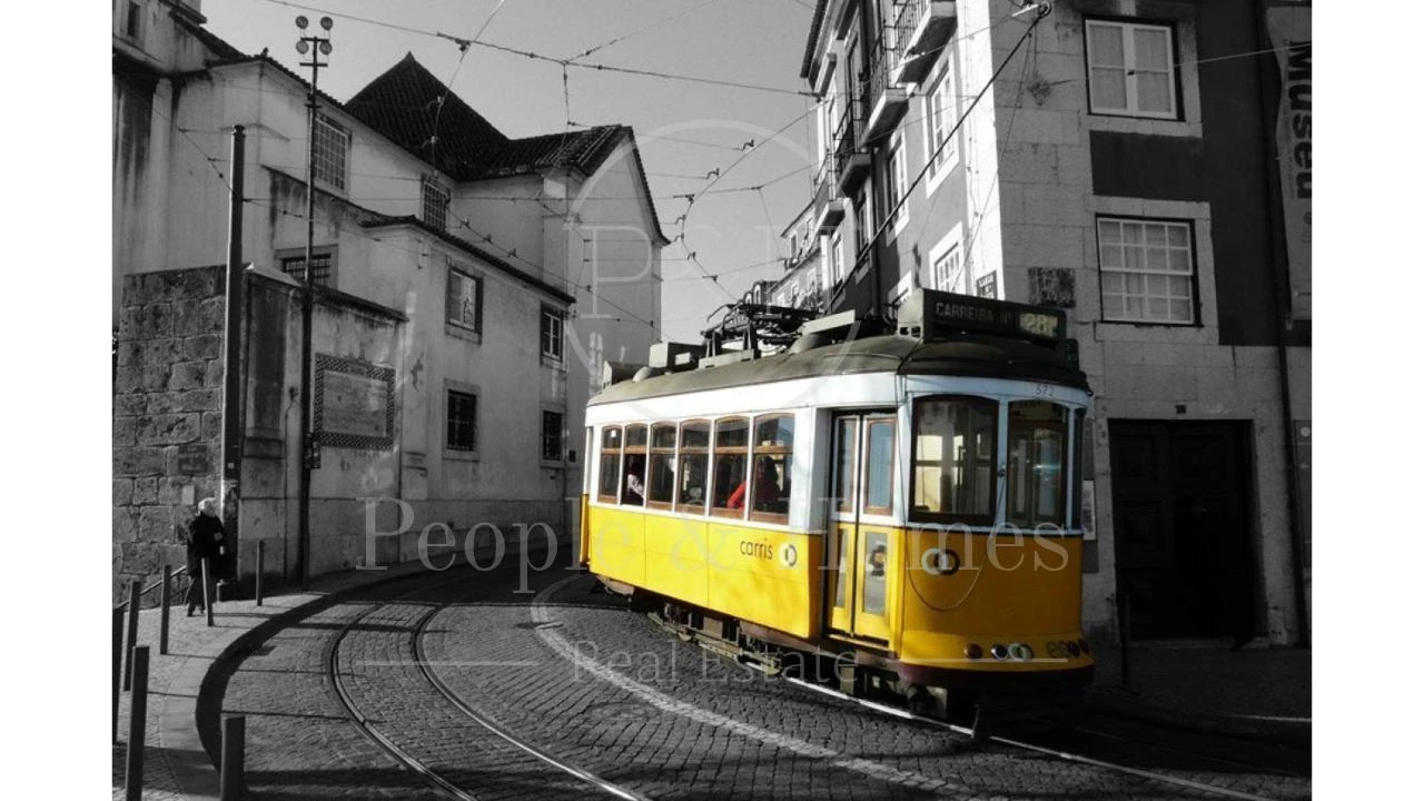 Escritório para Venda em Santa Maria Maior Foto 19
