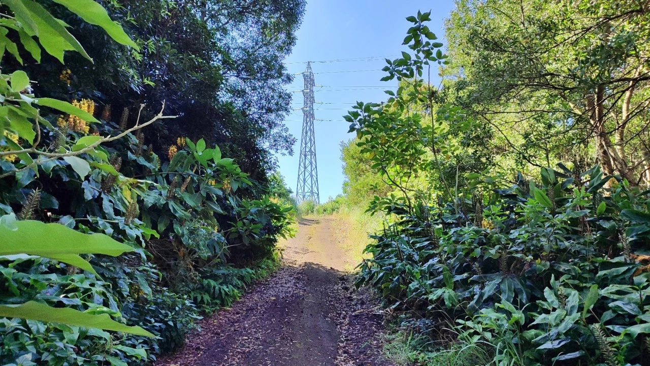 Terreno Comércio / Armazém para Venda em Pico da Pedra Foto 7