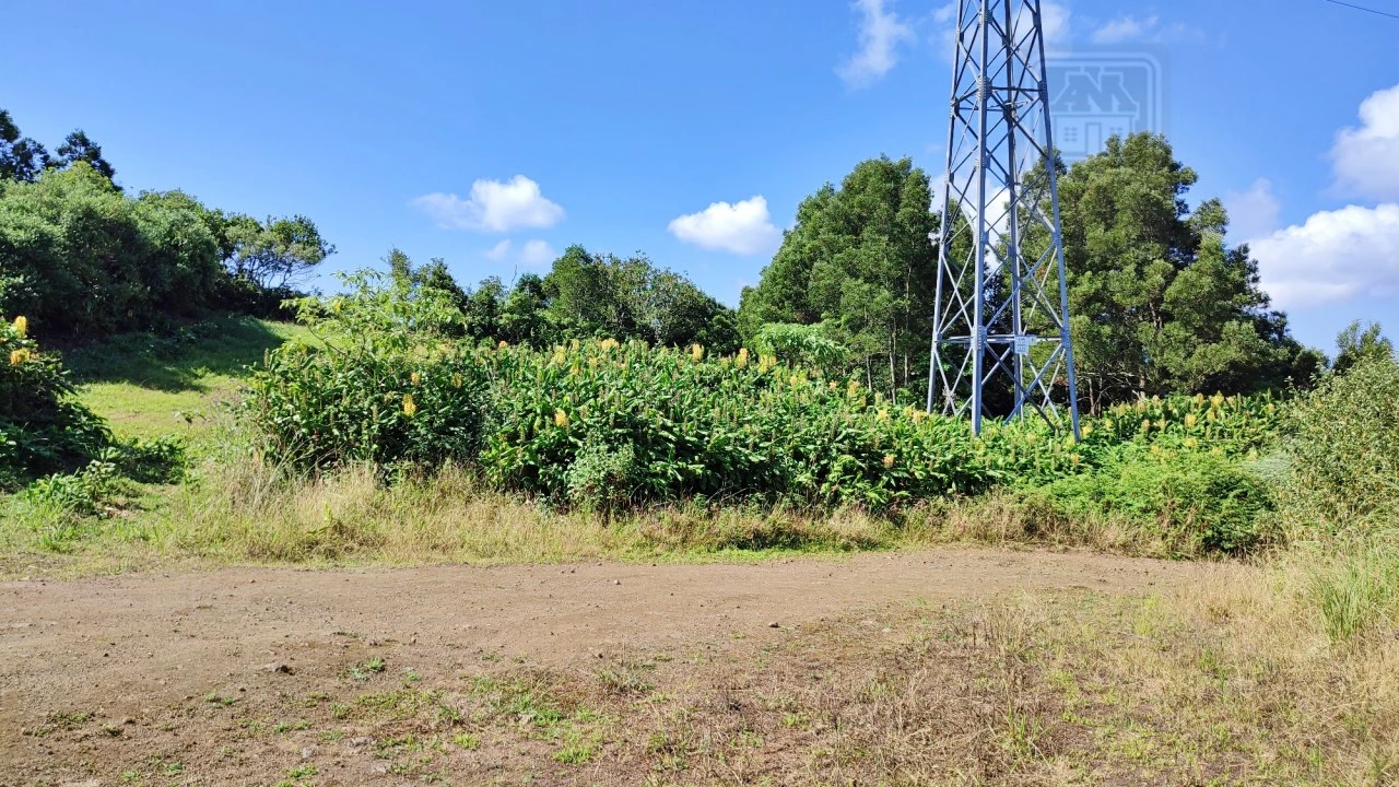 Terreno Comércio / Armazém para Venda em Pico da Pedra Foto 11
