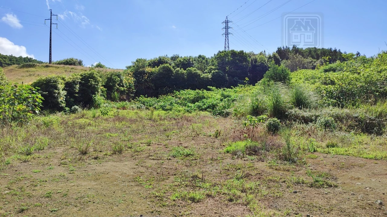 Terreno Comércio / Armazém para Venda em Pico da Pedra Foto 12