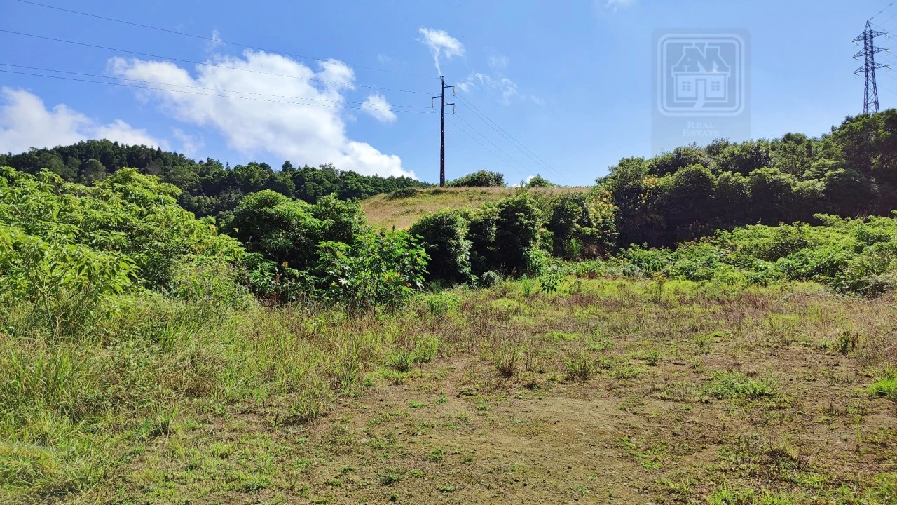 Terreno Comércio / Armazém para Venda em Pico da Pedra Foto 14