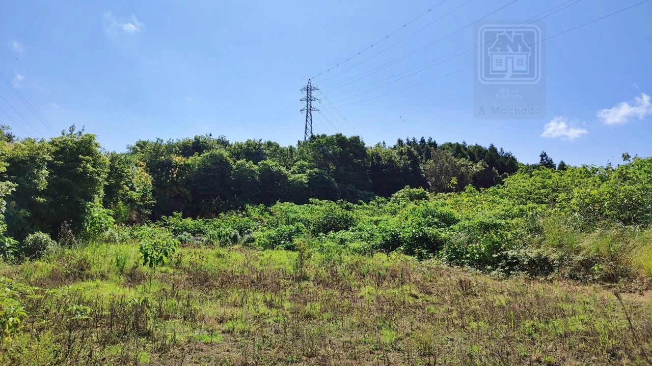 Terreno Comércio / Armazém para Venda em Pico da Pedra Foto 15