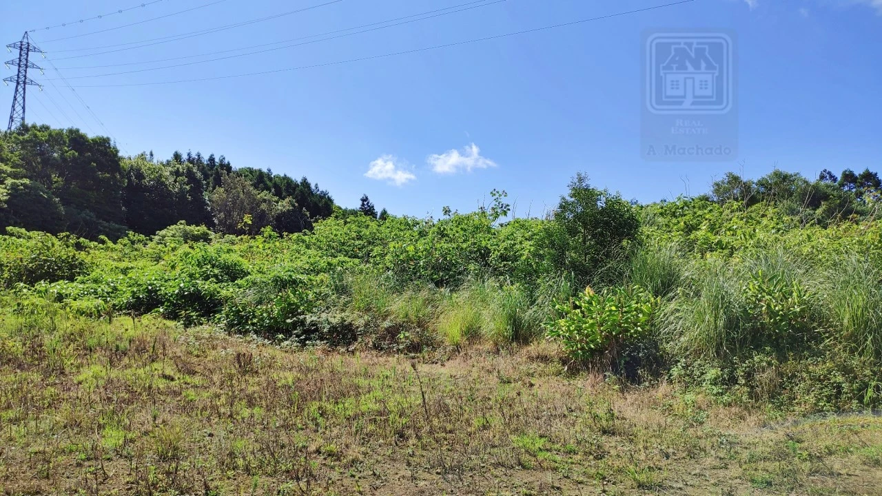 Terreno Comércio / Armazém para Venda em Pico da Pedra Foto 17