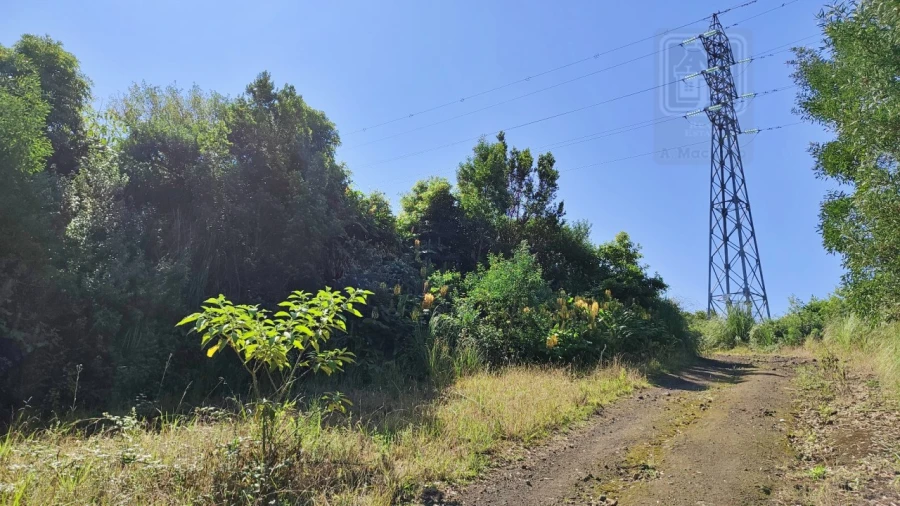 Terreno Comércio / Armazém para Venda em Pico da Pedra Foto 8