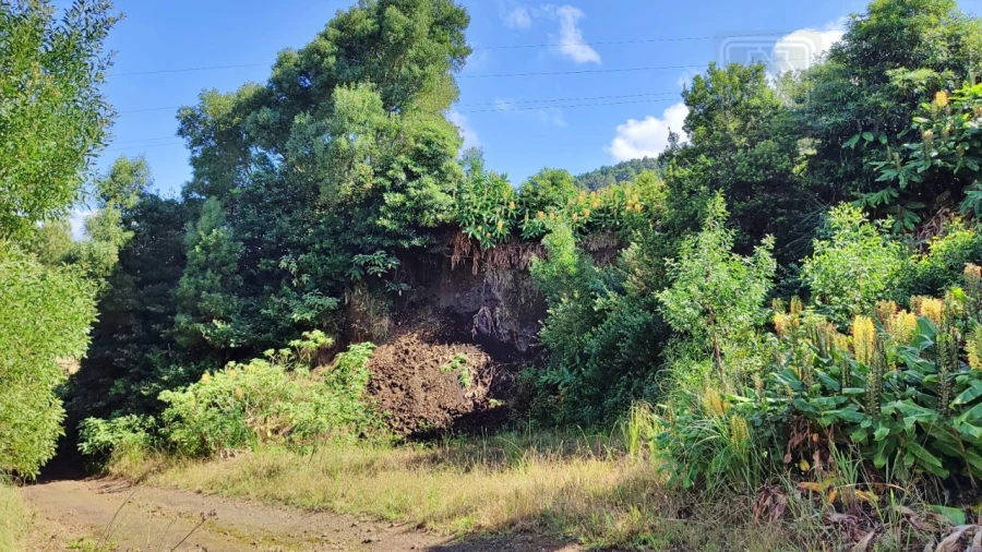 Terreno Comércio / Armazém para Venda em Pico da Pedra Foto 10