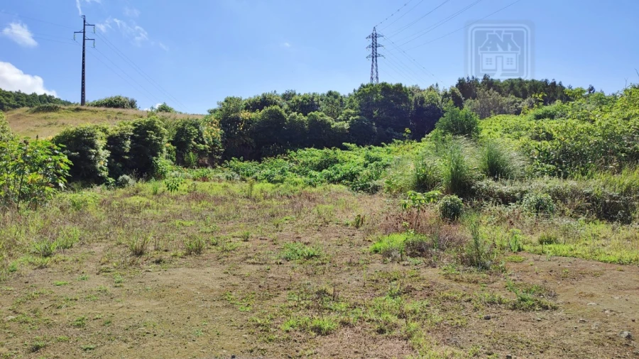 Terreno Comércio / Armazém para Venda em Pico da Pedra Foto 12