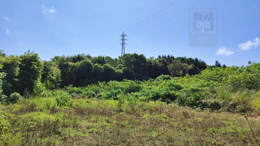 Terreno Comércio / Armazém para Venda em Pico da Pedra Foto 15