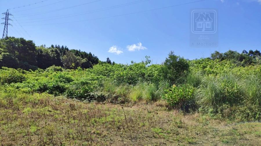 Terreno Comércio / Armazém para Venda em Pico da Pedra Foto 17