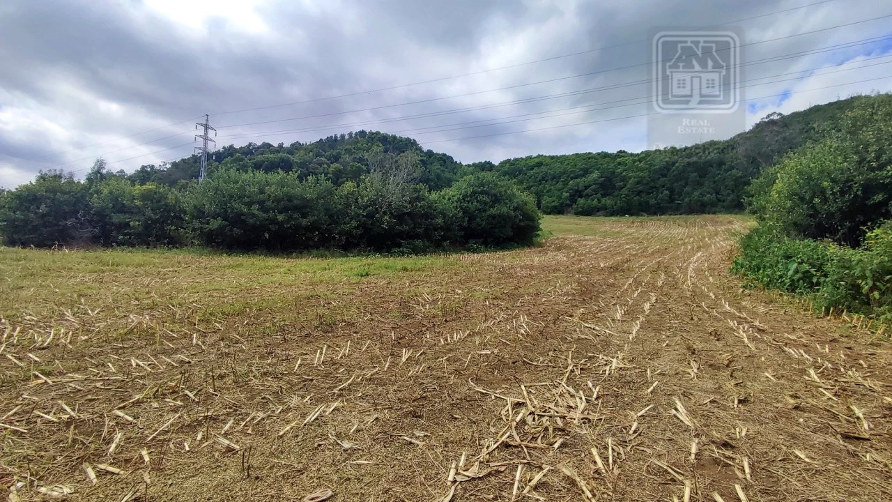 Terreno Agricola ou Rústico para Venda em Rosto do Cão (São Roque) Foto 4