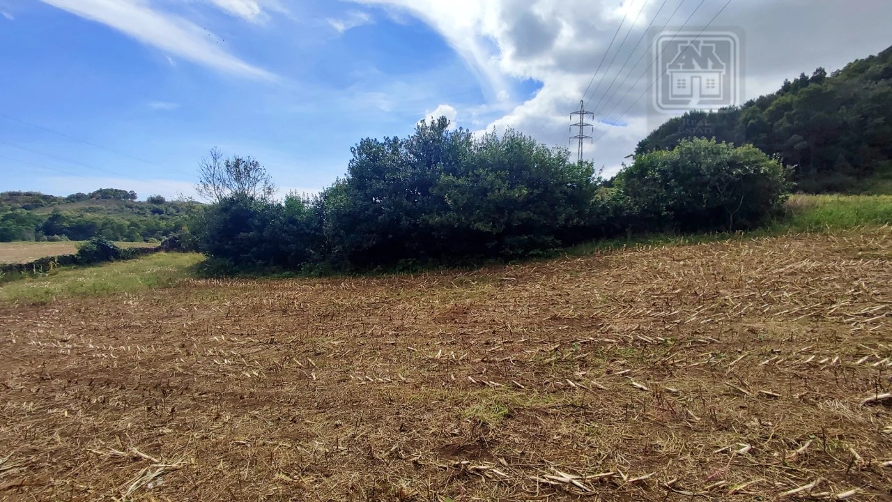 Terreno Agricola ou Rústico para Venda em Rosto do Cão (São Roque) Foto 6