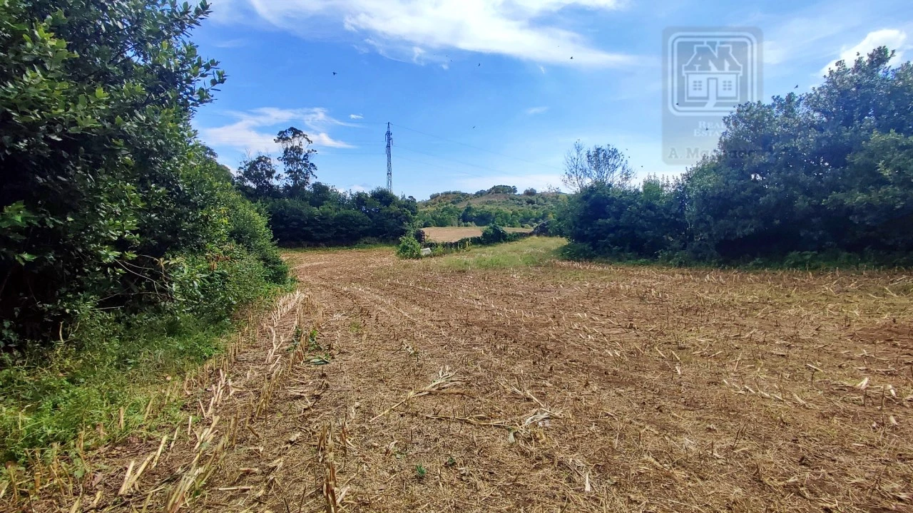 Terreno Agricola ou Rústico para Venda em Rosto do Cão (São Roque) Foto 7