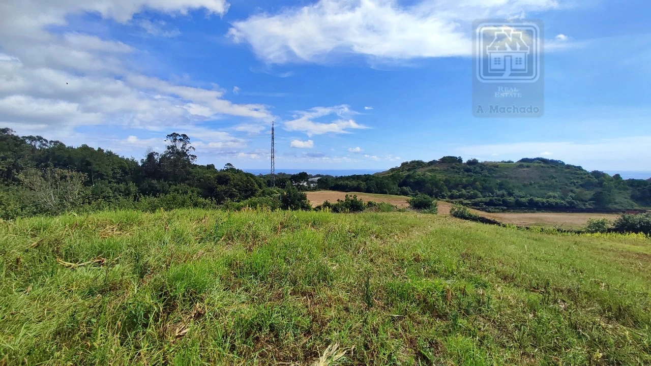 Terreno Agricola ou Rústico para Venda em Rosto do Cão (São Roque) Foto 13