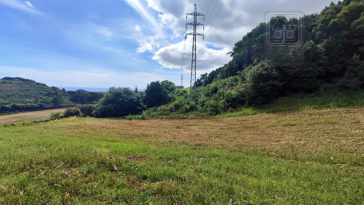Terreno Agricola ou Rústico para Venda em Rosto do Cão (São Roque) Foto 14