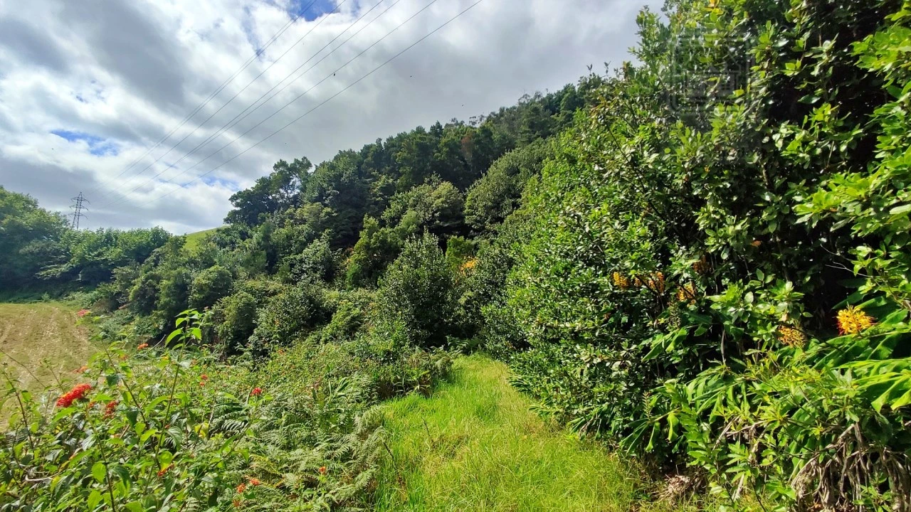 Terreno Agricola ou Rústico para Venda em Rosto do Cão (São Roque) Foto 23