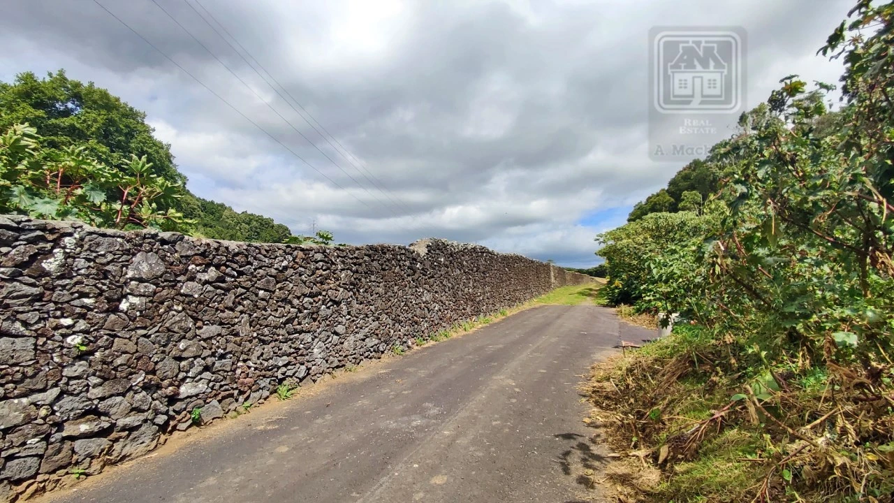 Terreno Agricola ou Rústico para Venda em Rosto do Cão (São Roque) Foto 32