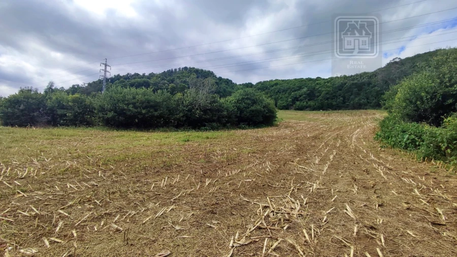 Terreno Agricola ou Rústico para Venda em Rosto do Cão (São Roque) Foto 4