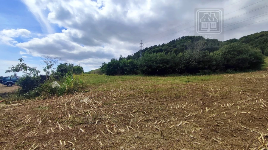 Terreno Agricola ou Rústico para Venda em Rosto do Cão (São Roque) Foto 5