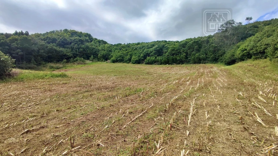 Terreno Agricola ou Rústico para Venda em Rosto do Cão (São Roque) Foto 8