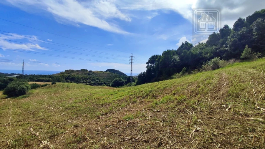 Terreno Agricola ou Rústico para Venda em Rosto do Cão (São Roque) Foto 9