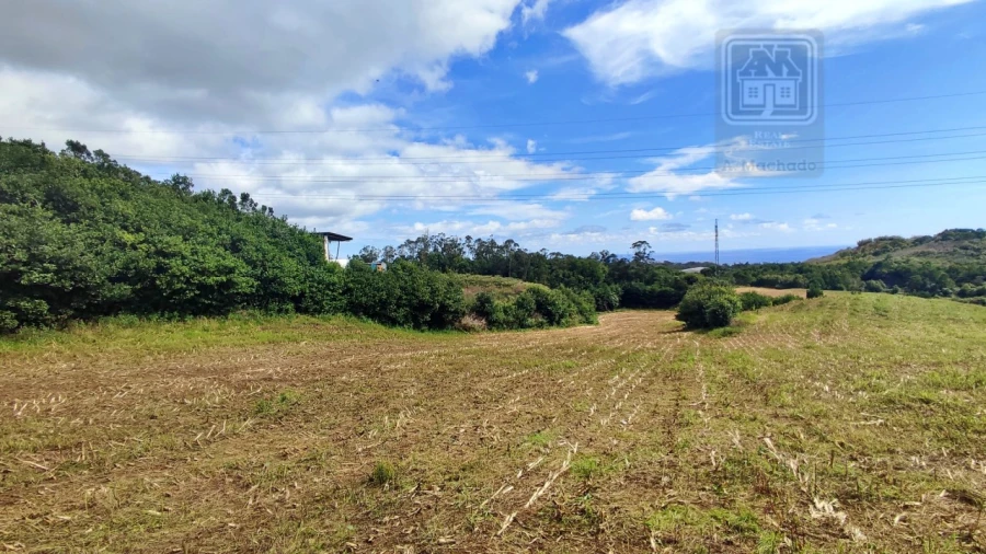 Terreno Agricola ou Rústico para Venda em Rosto do Cão (São Roque) Foto 10