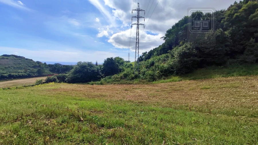 Terreno Agricola ou Rústico para Venda em Rosto do Cão (São Roque) Foto 14