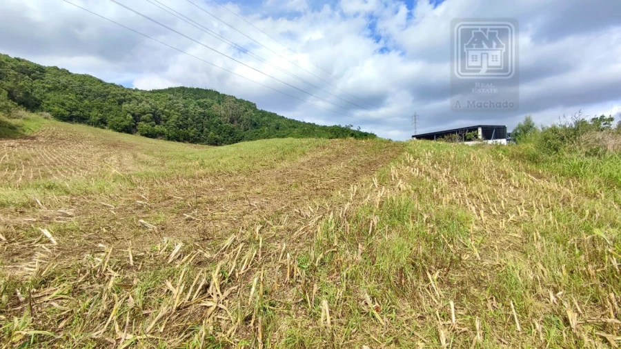 Terreno Agricola ou Rústico para Venda em Rosto do Cão (São Roque) Foto 17