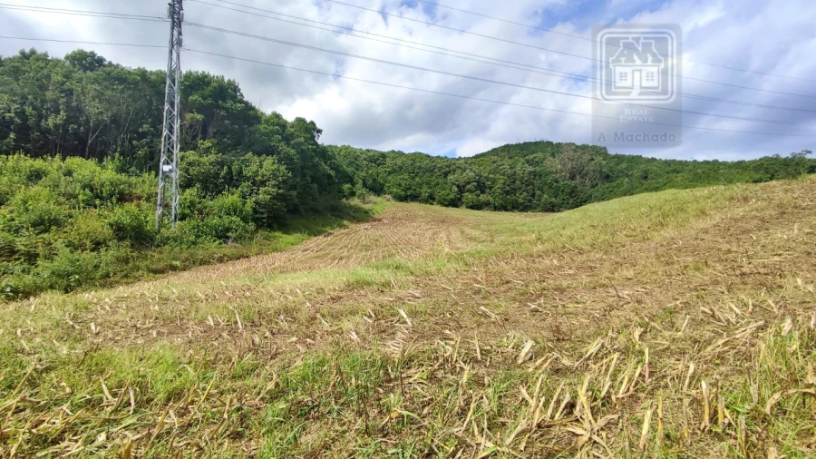 Terreno Agricola ou Rústico para Venda em Rosto do Cão (São Roque) Foto 18