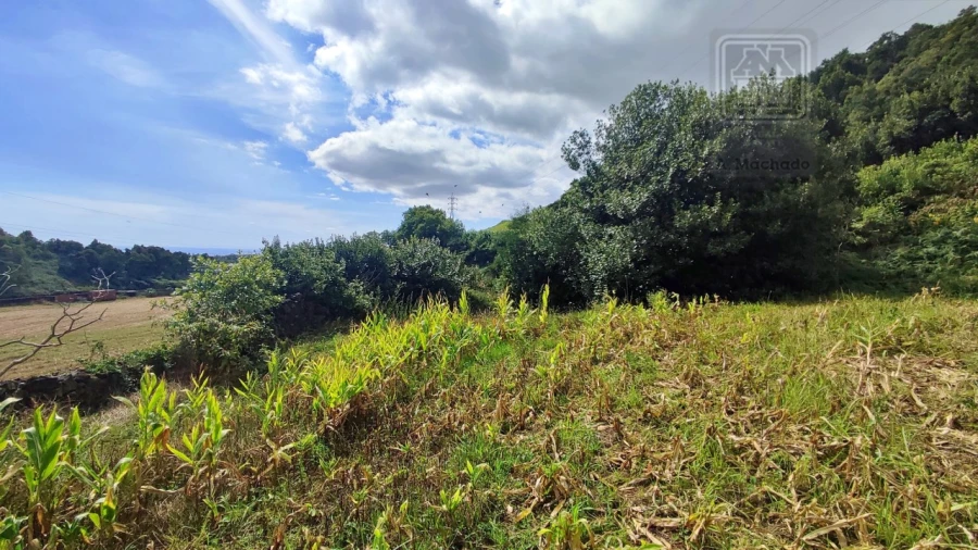 Terreno Agricola ou Rústico para Venda em Rosto do Cão (São Roque) Foto 19
