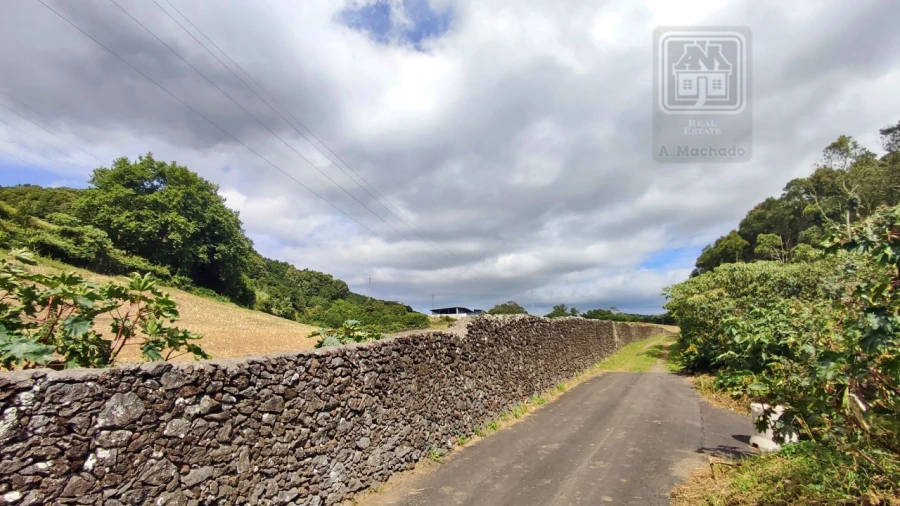 Terreno Agricola ou Rústico para Venda em Rosto do Cão (São Roque) Foto 31