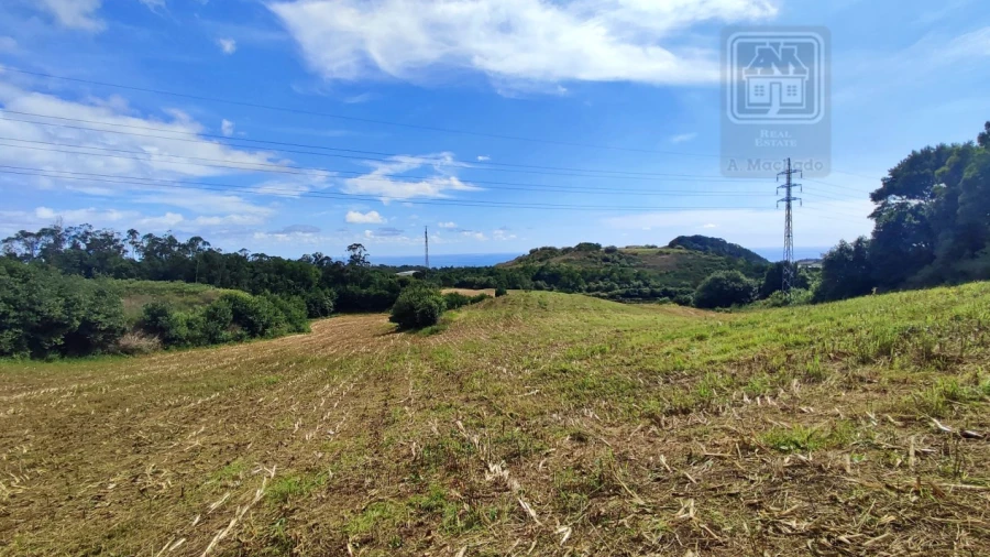 Terreno Agricola ou Rústico para Venda em Rosto do Cão (São Roque)