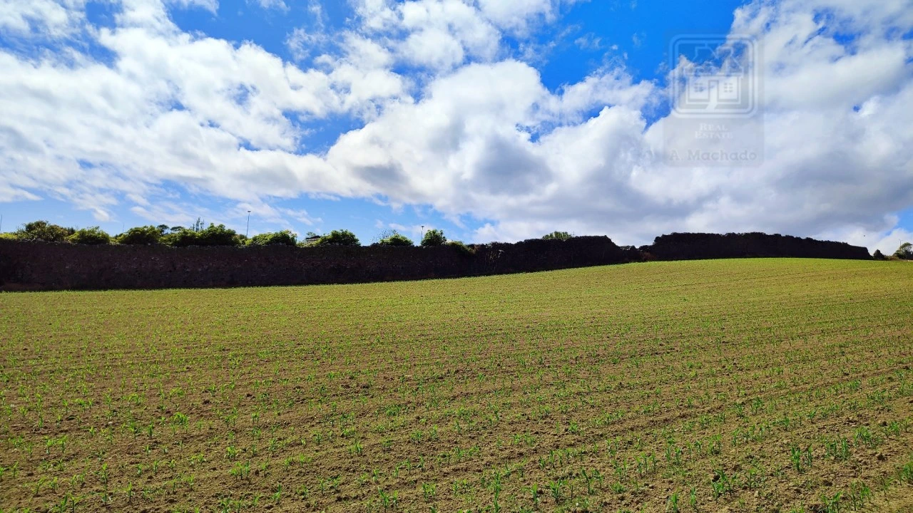 Terreno para Venda em Santa Clara Foto 15