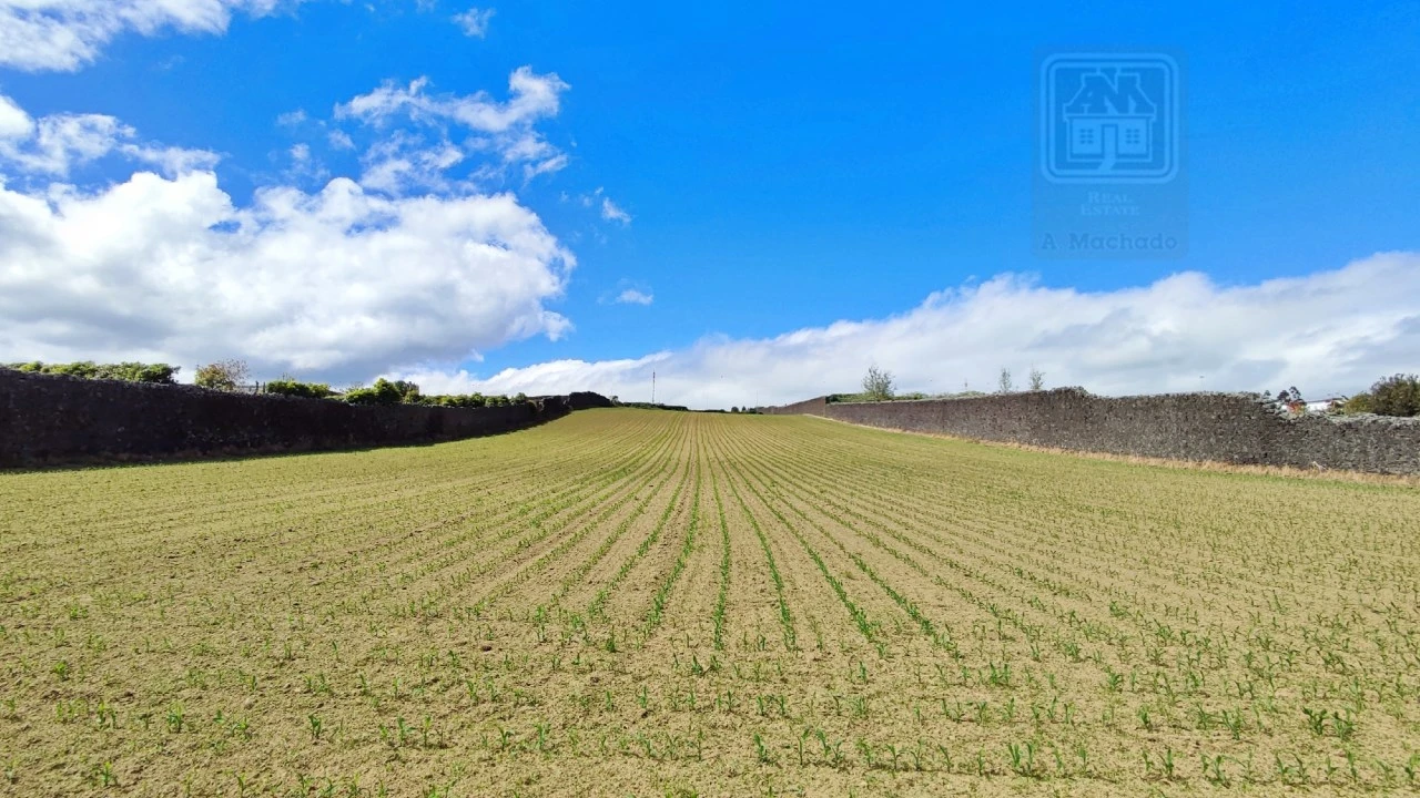 Terreno para Venda em Santa Clara Foto 18