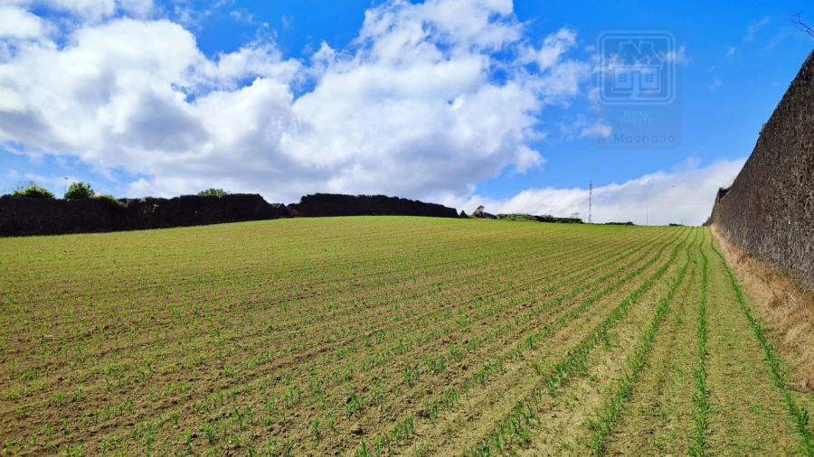 Terreno para Venda em Santa Clara Foto 14