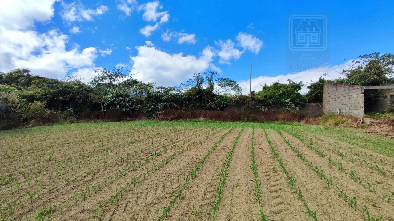 Terreno para Venda em Santa Clara Foto 7