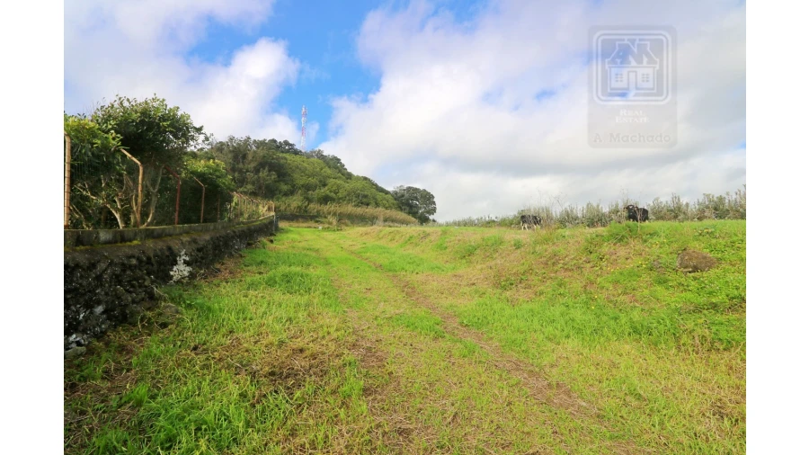 Terreno para Venda em Rosto do Cão (São Roque) Foto 8