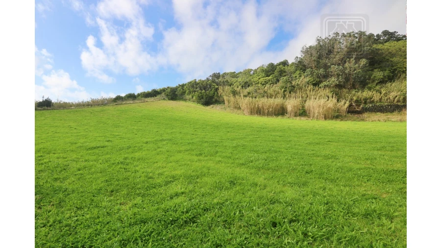Terreno para Venda em Rosto do Cão (São Roque) Foto 13