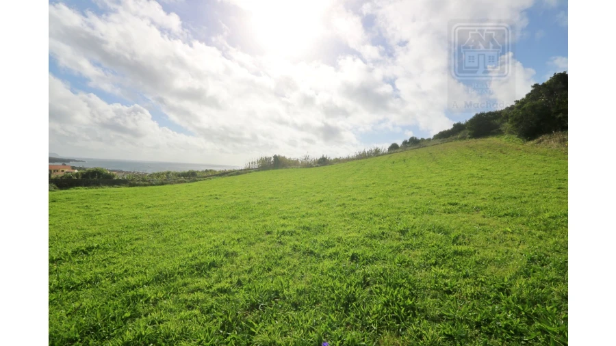 Terreno para Venda em Rosto do Cão (São Roque) Foto 16