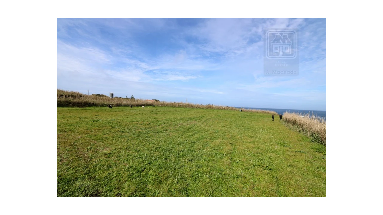 Terreno para Venda em Mosteiros Foto 13