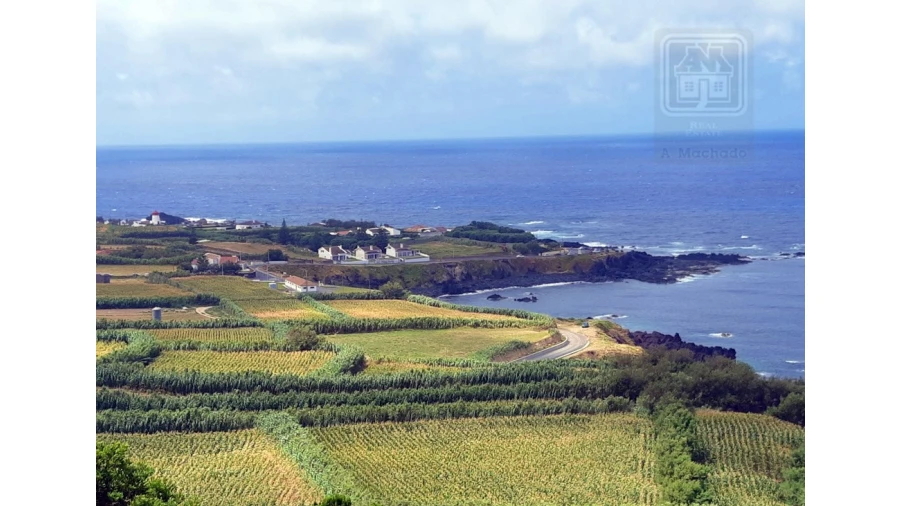 Terreno para Venda em Mosteiros Foto 16