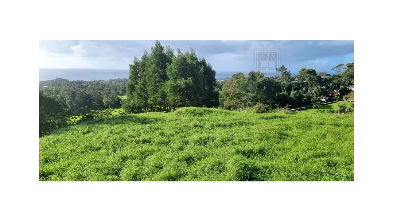 Terreno para Venda em Posto Santo Foto 4