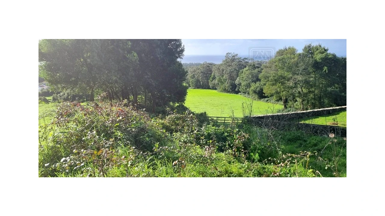 Terreno para Venda em Posto Santo Foto 7