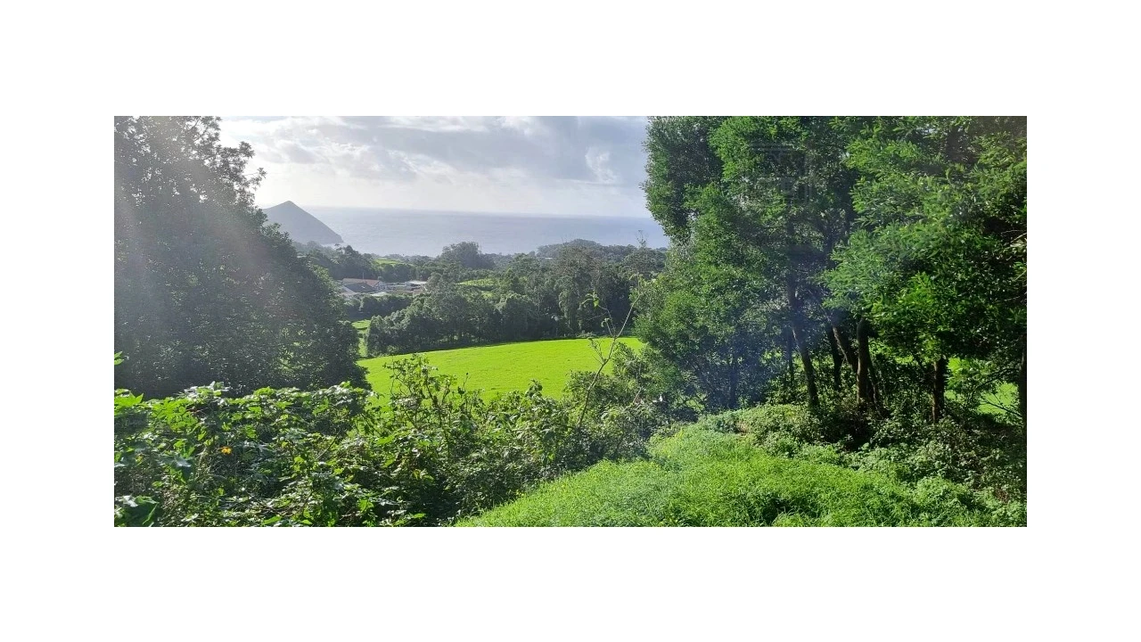 Terreno para Venda em Posto Santo Foto 8