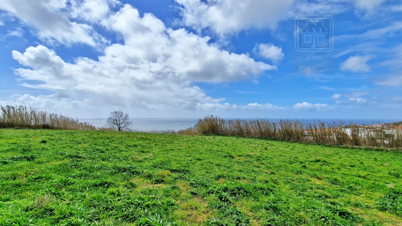 Terreno Agricola ou Rústico para Venda em Feteiras Foto 3