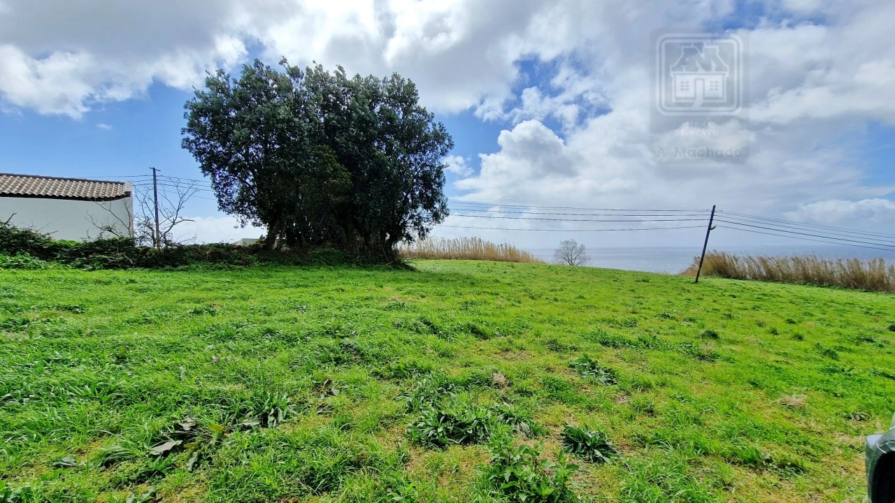 Terreno Agricola ou Rústico para Venda em Feteiras Foto 8