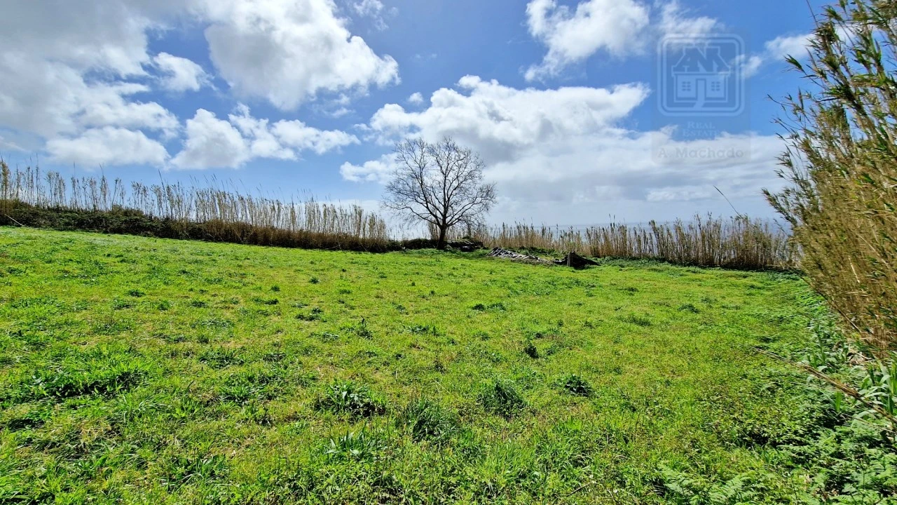 Terreno Agricola ou Rústico para Venda em Feteiras Foto 16