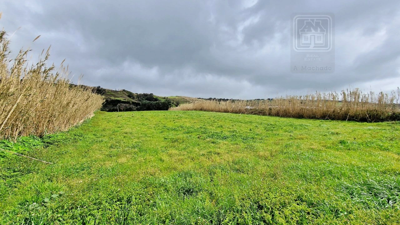 Terreno Agricola ou Rústico para Venda em Feteiras Foto 17