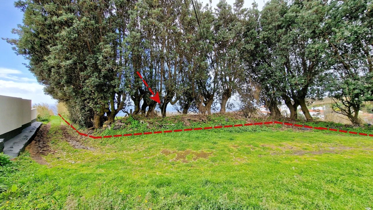 Terreno Agricola ou Rústico para Venda em Feteiras Foto 24