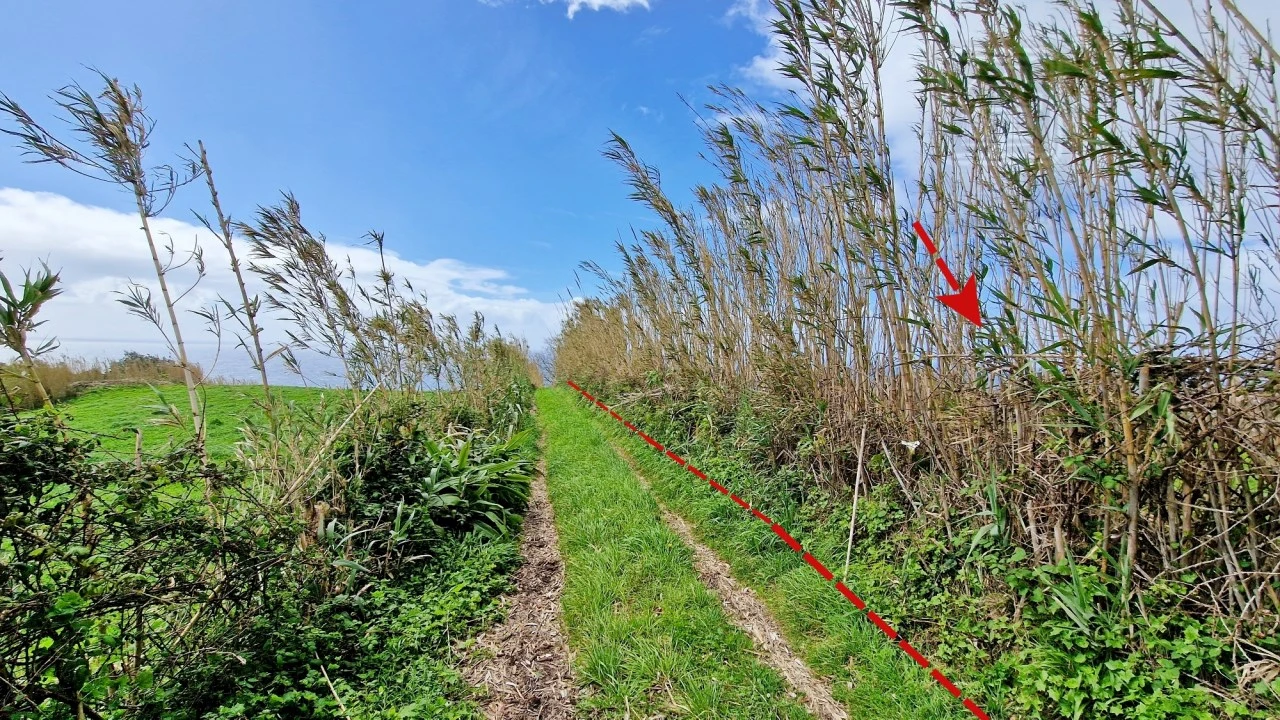 Terreno Agricola ou Rústico para Venda em Feteiras Foto 26