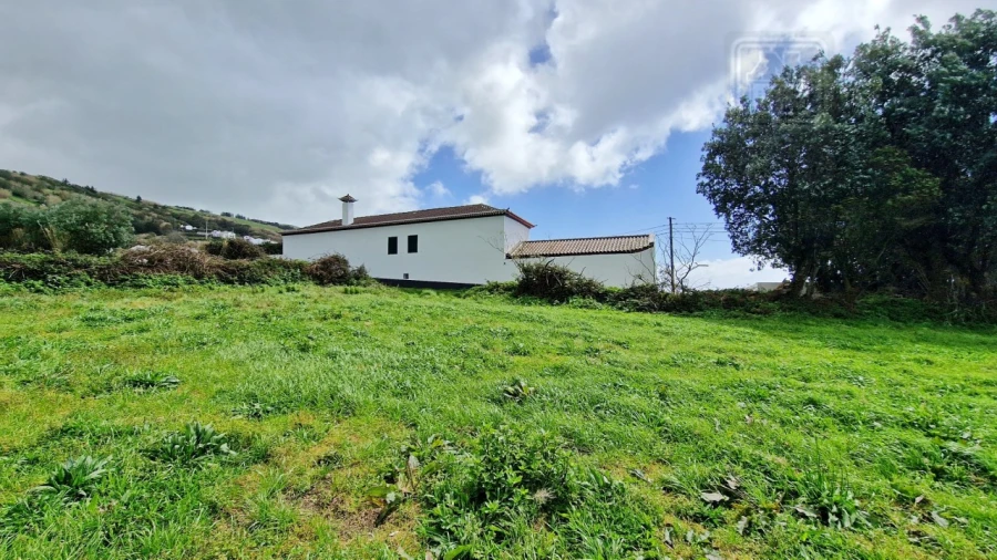 Terreno Agricola ou Rústico para Venda em Feteiras Foto 7